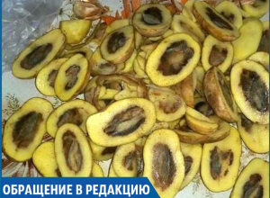 «Вот такой вот «свежий урожай» продают в известных магазинах» - жительница Михайловска «Вот такой вот «свежий урожай» продают в известных магазинах» - жительница Михайловска