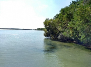 Тело пропавшего 40-летнего мужчины нашли на берегу водохранилища на Ставрополье Тело пропавшего 40-летнего мужчины нашли на берегу водохранилища на Ставрополье