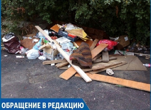 «Контейнеры для мусора убрали, а мусор остался, и где порядок?», - житель Ставрополя «Контейнеры для мусора убрали, а мусор остался, и где порядок?», - житель Ставрополя