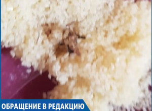 Мертвую моль обнаружила в пачке манной крупы жительница Ставрополя Мертвую моль обнаружила в пачке манной крупы жительница Ставрополя