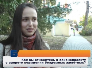 «Если закон примут, мы его будем нарушать»: ставропольцы о штрафах за кормление бездомных животных «Если закон примут, мы его будем нарушать»: ставропольцы о штрафах за кормление бездомных животных