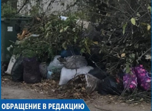 «На три улицы один мусорный контейнер», - жительница Ставрополя «На три улицы один мусорный контейнер», - жительница Ставрополя