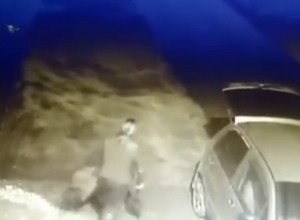 Женщина выкопала чужие кусты и попала на видео в Ставропольском крае Женщина выкопала чужие кусты и попала на видео в Ставропольском крае