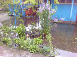 Дома жителей тонут в воде из-за равнодушия властей в Ставропольском крае Дома жителей тонут в воде из-за равнодушия властей в Ставропольском крае