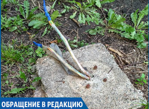 «Из-под земли торчат электропровода, рядом гуляют дети», - житель Ставрополя «Из-под земли торчат электропровода, рядом гуляют дети», - житель Ставрополя