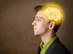 У жителей Ставрополья самый высокий IQ в СКФО У жителей Ставрополья самый высокий IQ в СКФО