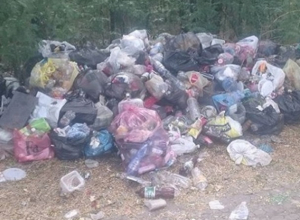 В омерзительную помойку с огромными кучами мусора превратили популярный пляж Новотроицкого водохранилища В омерзительную помойку с огромными кучами мусора превратили популярный пляж Новотроицкого водохранилища
