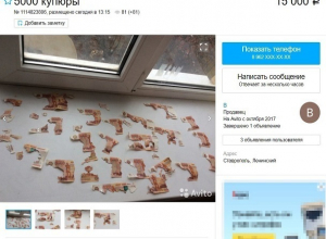За 15 тысяч рублей продает испорченные мышами 50 тысяч житель Ставрополья За 15 тысяч рублей продает испорченные мышами 50 тысяч житель Ставрополья
