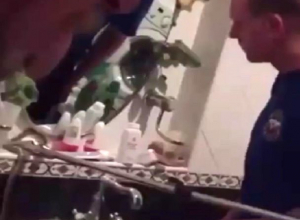 Змея заползла на умывальник в доме у жителей на Ставрополье Змея заползла на умывальник в доме у жителей на Ставрополье