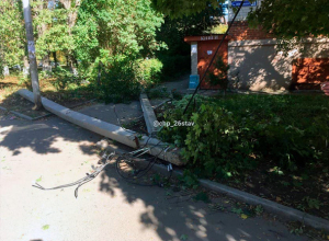 Дерево рухнуло вместе со столбами на улице в Ставрополе Дерево рухнуло вместе со столбами на улице в Ставрополе
