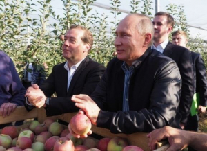Владимир Путин похвалил ставропольские яблоки Владимир Путин похвалил ставропольские яблоки