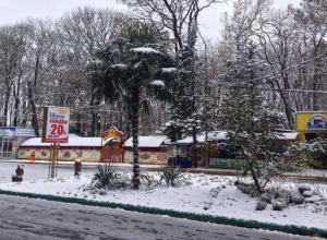 Оголенная гордость парка Победы заставила ставропольчан поволноваться Оголенная гордость парка Победы заставила ставропольчан поволноваться