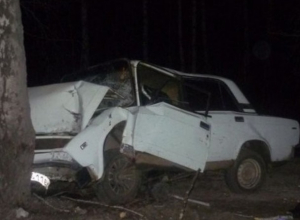 Водитель «семерки» врезался в дерево при обгоне на ночной трассе в Ставропольском крае, - пострадал он и его мать Водитель «семерки» врезался в дерево при обгоне на ночной трассе в Ставропольском крае, - пострадал он и его мать