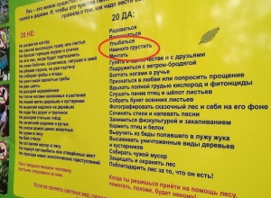 Спасти жука и подружиться с бродягой-ветром порекомендовали ставропольцам на новой эко-тропе Спасти жука и подружиться с бродягой-ветром порекомендовали ставропольцам на новой эко-тропе