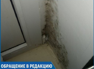 В нашем доме температура опускалась до +14 градусов во время морозов, - жительница Железноводска В нашем доме температура опускалась до +14 градусов во время морозов, - жительница Железноводска
