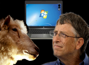 Овцеводы и козоводы создали ставропольский ответ американской Windows Овцеводы и козоводы создали ставропольский ответ американской Windows