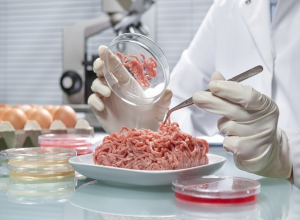 Мясо с запрещенными добавками выявили представители Россельхознадзора на Ставрополье Мясо с запрещенными добавками выявили представители Россельхознадзора на Ставрополье