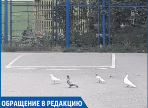 «Детям теперь негде играть»: в одном из дворов Ставрополя женщина вырезала футбольные ворота «Детям теперь негде играть»: в одном из дворов Ставрополя женщина вырезала футбольные ворота