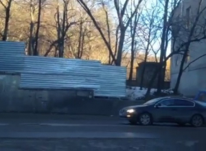 В Кисловодске год экологии начинают с вырубки деревьев В Кисловодске год экологии начинают с вырубки деревьев