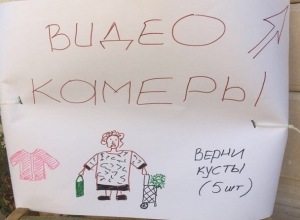«Помогите найти рецидивистку, скоро она унесет мой пятиметровый орех», - житель Буденновска «Помогите найти рецидивистку, скоро она унесет мой пятиметровый орех», - житель Буденновска