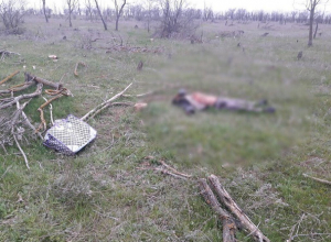 Полусгнившее тело неизвестного мужчины нашли у трассы в Ставропольском крае Полусгнившее тело неизвестного мужчины нашли у трассы в Ставропольском крае