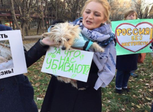 Ставропольчане потребовали ужесточения статьи УК за издевательство над животными Ставропольчане потребовали ужесточения статьи УК за издевательство над животными