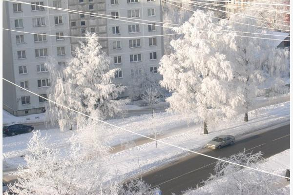 Мороз с гололедом и сильный ветер ожидаются в пятницу на Ставрополье Мороз с гололедом и сильный ветер ожидаются в пятницу на Ставрополье