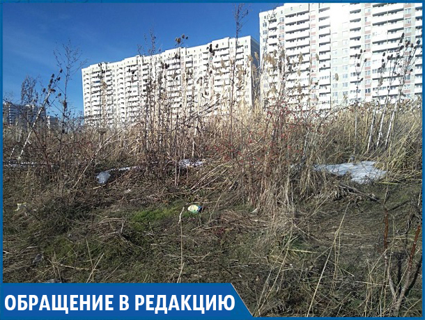 Гетто на окраине Ставрополя: заброшенный район погряз в темноте, клещах и горах мусора Гетто на окраине Ставрополя: заброшенный район погряз в темноте, клещах и горах мусора
