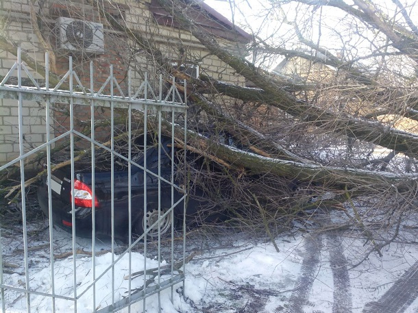Рухнувшее дерево разбило «всмятку» «Приору» и поцарапало «Ниссан» на Ставрополье Рухнувшее дерево разбило «всмятку» «Приору» и поцарапало «Ниссан» на Ставрополье