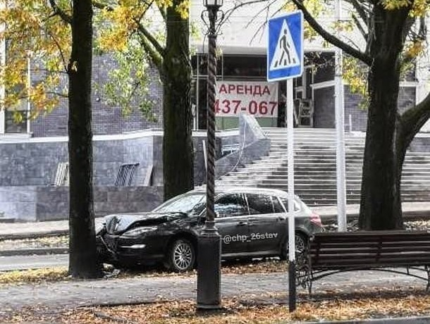 «Древесно-транспортное происшествие» произошло в Ставрополе «Древесно-транспортное происшествие» произошло в Ставрополе