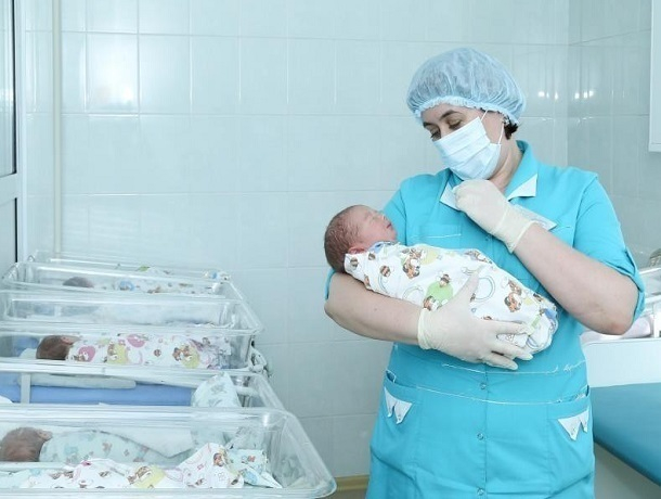 Мальчик Виноград и девочка Малина родились на Ставрополье Мальчик Виноград и девочка Малина родились на Ставрополье