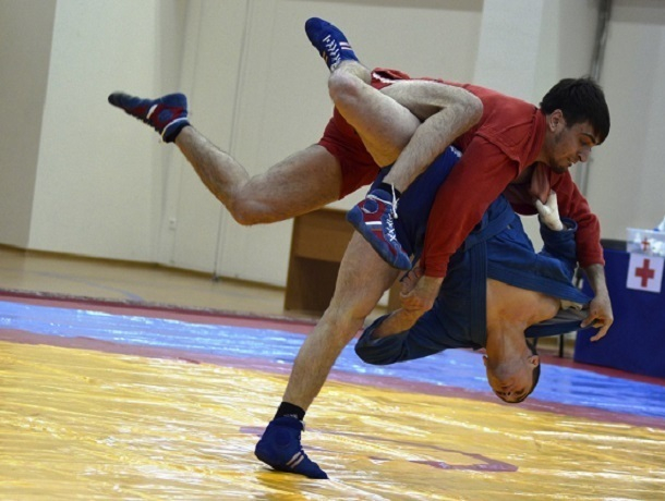 На Ставрополье прибавилось мастеров спорта по самбо На Ставрополье прибавилось мастеров спорта по самбо