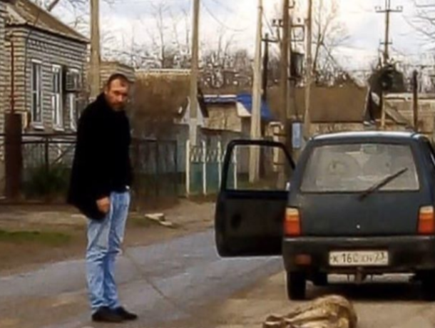 Живодер привязал собаку к движущемуся авто на Ставрополье Живодер привязал собаку к движущемуся авто на Ставрополье