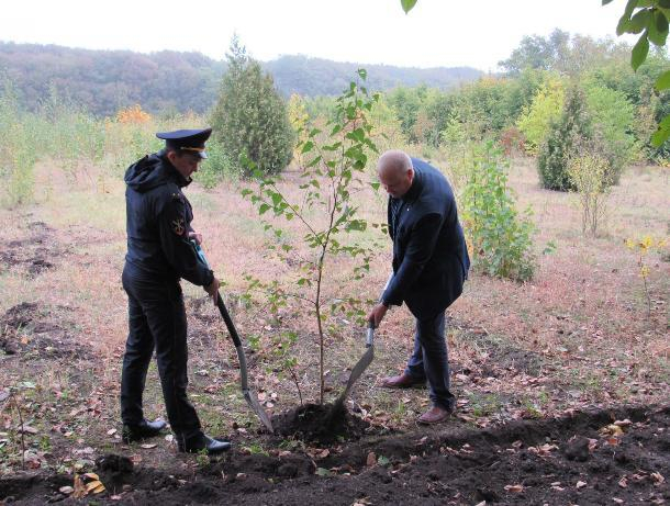 На Ставрополье полицейские посадили «Лес победы» На Ставрополье полицейские посадили «Лес победы»
