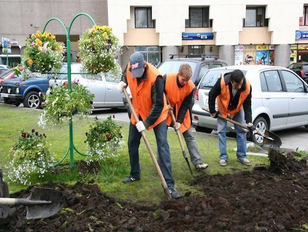 Детский труд используют в школах Железноводска для подготовки к учебному году Детский труд используют в школах Железноводска для подготовки к учебному году