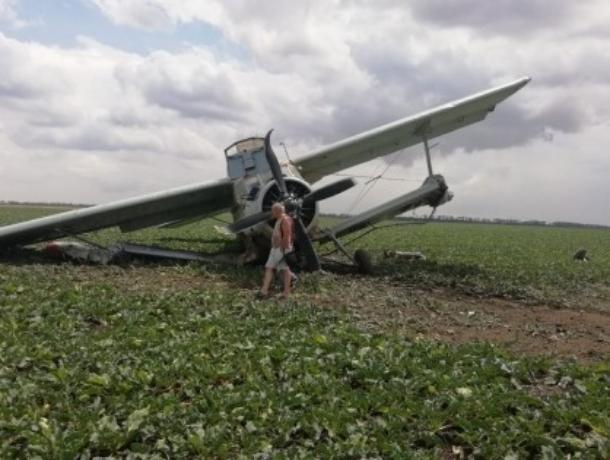 Скрывшего крушение самолета пилота наказали на Ставрополье Скрывшего крушение самолета пилота наказали на Ставрополье