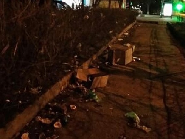 «Сил терпеть это больше нет!» - жительница Ставрополя пожаловалась на кучи мусора на центральной улице «Сил терпеть это больше нет!» - жительница Ставрополя пожаловалась на кучи мусора на центральной улице