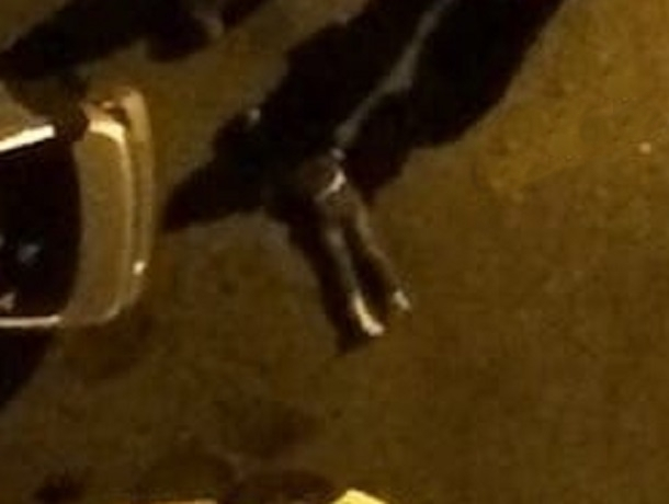 Молодой мужчина выпал из окна многоэтажки в Ставрополе Молодой мужчина выпал из окна многоэтажки в Ставрополе