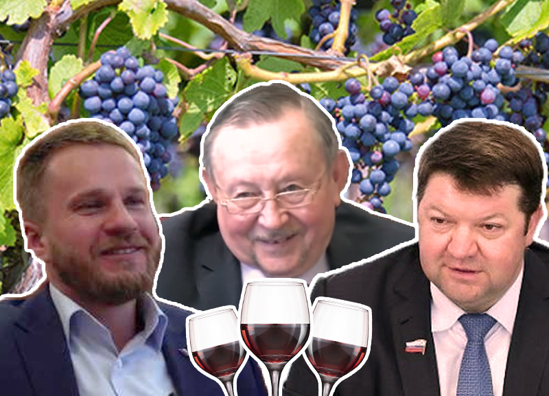 «Пьем!»: депутаты Ставрополья поддержали местных виноделов «Пьем!»: депутаты Ставрополья поддержали местных виноделов