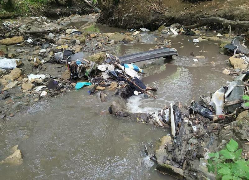 В Ставрополе вычистили от мусора Члинский лес, а про реку Чла забыли В Ставрополе вычистили от мусора Члинский лес, а про реку Чла забыли