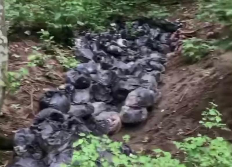 В Ставрополе в Русском лесу жители города обнаружили сотню мешков с мусором В Ставрополе в Русском лесу жители города обнаружили сотню мешков с мусором