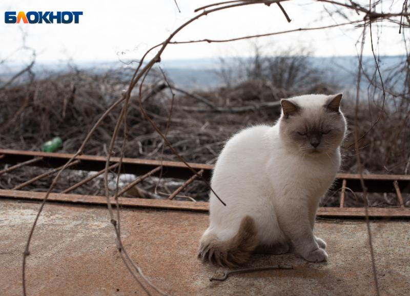 В четверг жителей Ставрополя вновь накроет дождь и гроза В четверг жителей Ставрополя вновь накроет дождь и гроза