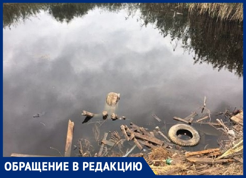 Вместо рыб и черепах — мусор и грязь: жители Михайловска требуют остановить уничтожение пруда Калдыбашки Вместо рыб и черепах — мусор и грязь: жители Михайловска требуют остановить уничтожение пруда Калдыбашки