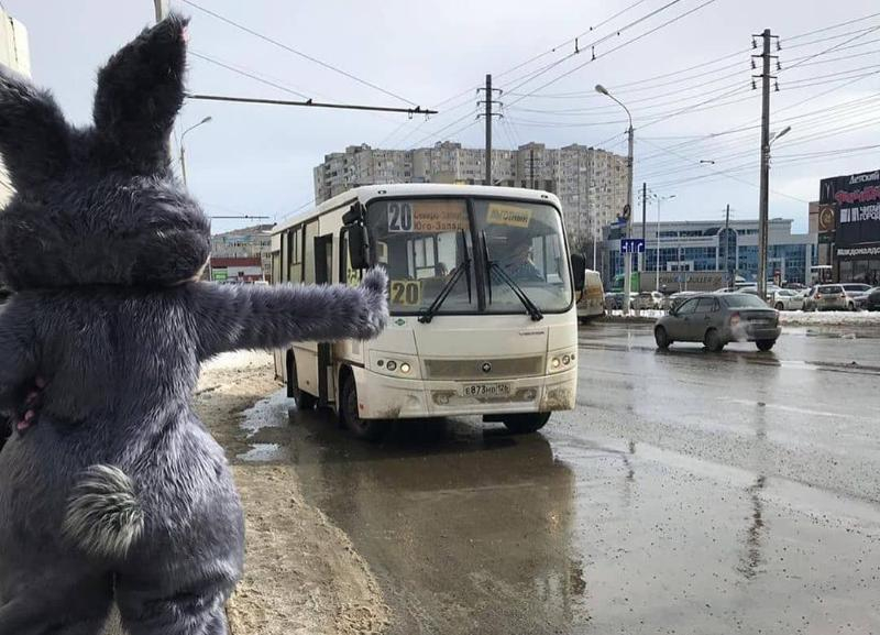 Зайка прокатился «зайкой»? Ставропольчан повеселил аниматор в костюме Зайка прокатился «зайкой»? Ставропольчан повеселил аниматор в костюме
