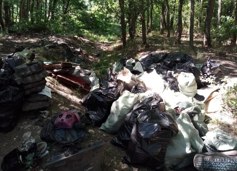 Главу Ставрополя и директора местного лесничества принудят к уборке Члинского леса Главу Ставрополя и директора местного лесничества принудят к уборке Члинского леса
