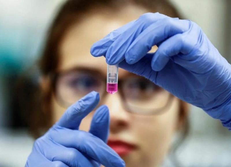 Краевое правительство: эпидситуация на Ставрополье стабильна Краевое правительство: эпидситуация на Ставрополье стабильна
