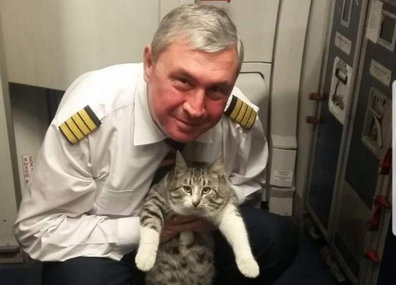 «Мой дружбан в Минводах»: пилот «Аэрофлота» подружился со ставропольским котом «Мой дружбан в Минводах»: пилот «Аэрофлота» подружился со ставропольским котом
