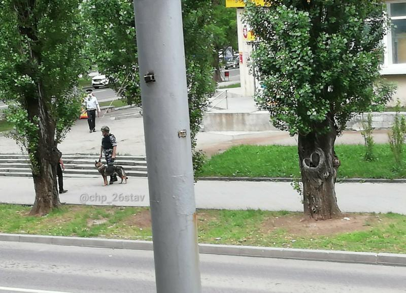 Работа сотрудников полиции в центральной части Ставрополя обеспокоила местных жителей Работа сотрудников полиции в центральной части Ставрополя обеспокоила местных жителей