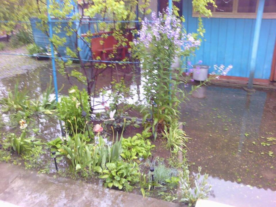 Дома жителей тонут в воде из-за равнодушия властей в Ставропольском крае Дома жителей тонут в воде из-за равнодушия властей в Ставропольском крае