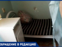 Тараканы, халаты в дырках и ржавчина: жительница Нефтекумска пожаловалась на состояние местной больницы 
